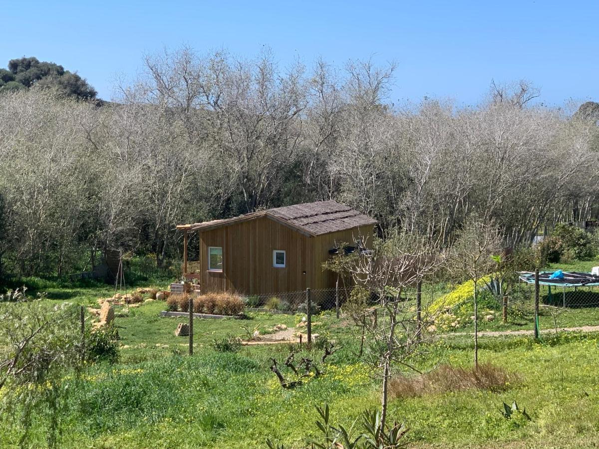 Cabana Casaotto لوس كانيوس دي ميكا المظهر الخارجي الصورة
